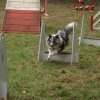 foire-haricots 2011-09-17et18